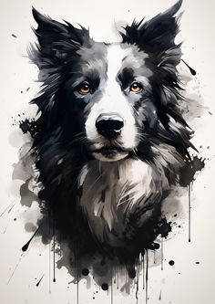 a black and white dog's face is shown with paint splatters on it