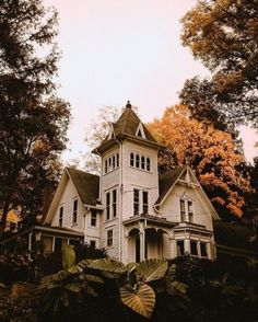 an old white house surrounded by trees and foliage