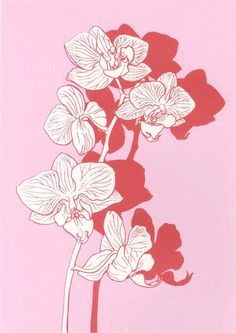 an image of flowers on a pink background