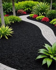 a garden with black mulch and red flowers in the center, surrounded by palm trees