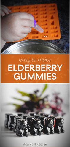 the cover of an easy to make elderberry gummies recipe