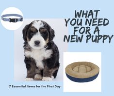 a puppy sitting next to a dog bed with the words what you need for a new puppy