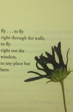 an open book with a flower in it and the words fly, to fly through the walls, to fly right out the window