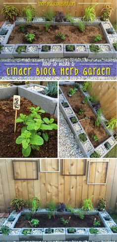 the garden is made with cinder blocks and plants growing in them, along with text overlay that reads how to build a cinder block herb garden