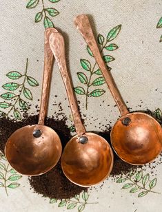 three copper measuring spoons are sitting in the dirt