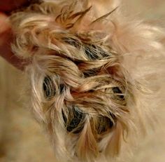 a person is holding something that looks like some kind of animal's hair in their hand