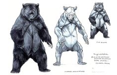 three different types of bears are shown in this drawing