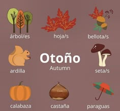 an image of different autumn words in english and spanish on a purple background with leaves, mushrooms, acorns, and more