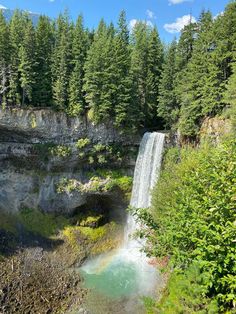 a waterfall in the middle of a forest