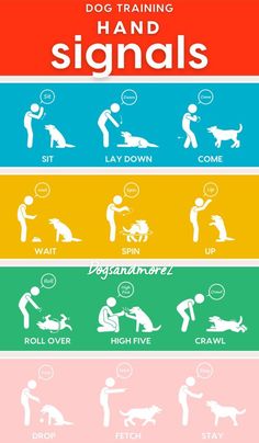 the dog training signals for dogs to learn how to use their hands and feet, as well