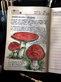 an open book with two red mushrooms on it next to a pen and pencils