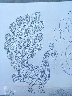 a drawing of a peacock on a piece of paper