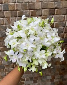 a hand holding a bouquet of white flowers