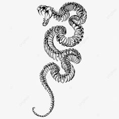 a black and white drawing of a snake's head with its tail curled up