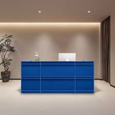 an empty room with a blue counter and potted plant