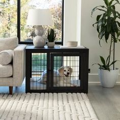 a living room with a dog in a cage