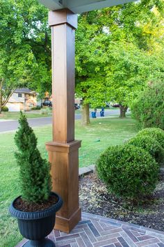 a potted plant sitting on top of a brick walkway next to a wooden gazebo