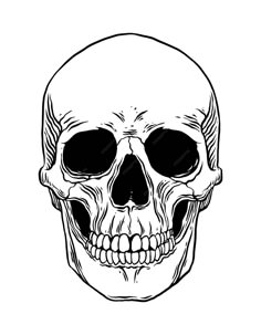 a black and white drawing of a skull