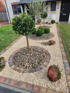 a small tree is in the middle of a graveled area with rocks and stones around it