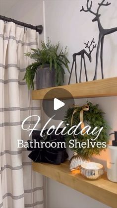 the bathroom shelves are decorated with plants and other items for holiday decorations, such as deers