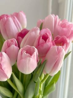 pink tulips in a vase on a window sill with green stems and leaves