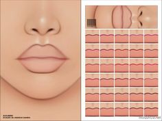 an image of a woman's lips with different shapes and sizes