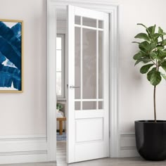 a potted plant sitting in front of a white door with glass panels on the side