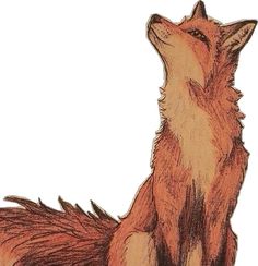 I Know Places, Fur Background, Dog Autumn, Fox Clipart, Halloween Hoodies, Fox Drawing, Fox Illustration