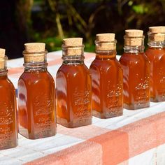 six jars of honey are lined up on a table