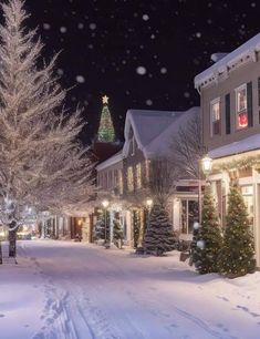 a snowy street with christmas trees and lights