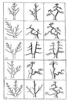 several different types of trees and their branches are shown in the diagram, which shows how many