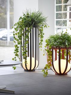 two planters with plants in them sitting next to each other