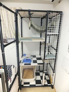 a caged in area with shelves and hammocks