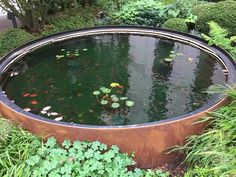 an outdoor pond surrounded by plants and water lilies