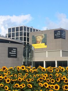 the sunflowers are blooming in front of the museum