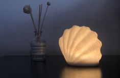 a white shell shaped lamp next to a bottle with reeds in it on a table