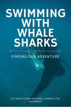 a poster with the words swimming with whale sharks and an image of a manta ray