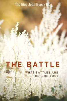 the battle what battles are before you? by jean gysygy blog book cover