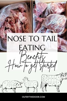 an open box with meat in it and the words nose to tail eating benefits how to get started