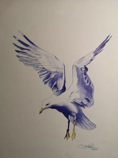 a drawing of a seagull flying in the sky