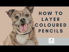 a painting of a dog with the words how to layer colored pencils