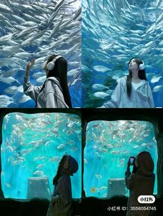 two people are looking at fish in an aquarium and one is using a cell phone