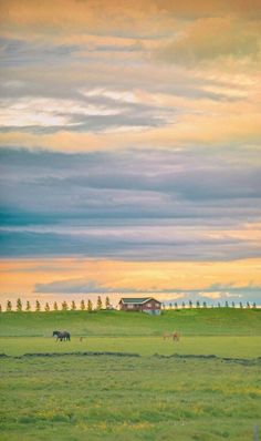 two horses grazing in a field with a barn in the background at sunset or dawn