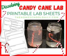 printable candy cane lab worksheets for the homeschoolly com classroom