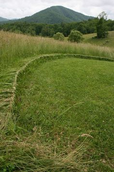 a large grassy field with mountains in the backgroung and grass growing all around it