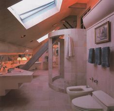 a bathroom with two toilets and a skylight in the ceiling above it is shown