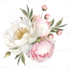 a bouquet of white and pink flowers on a white background