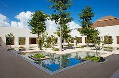 a courtyard with trees and water in it