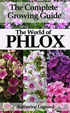 the complete growing guide to the world of phlox