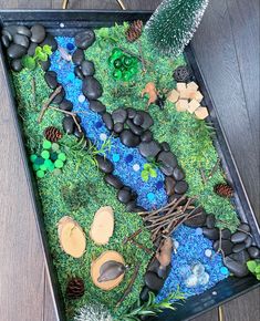 a tray filled with rocks and plants on top of a wooden floor